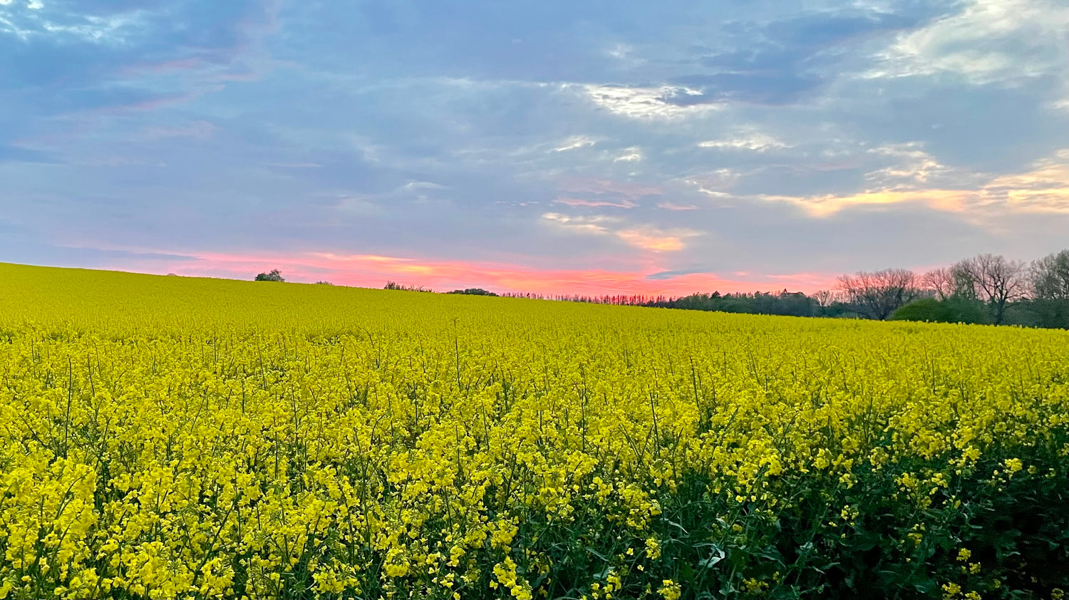 Kapitel 3. Jede Ernte schmeckt anders.
