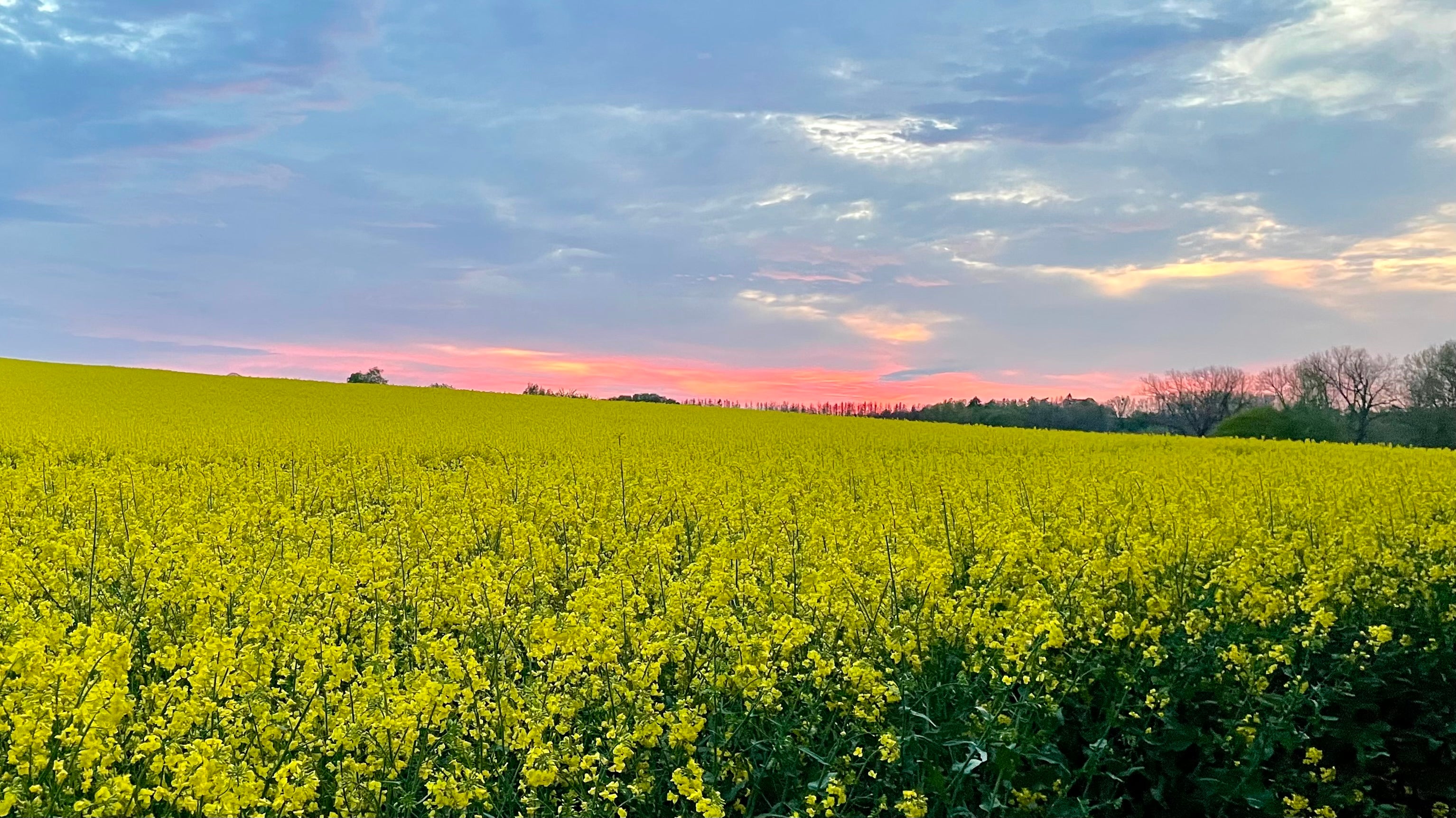 Kapitel 3. Jede Ernte schmeckt anders.
